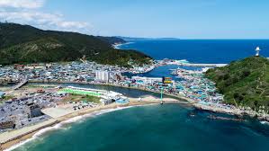 제 14회 영덕 물가자미축제 기본일정과 프로그램 소개 미스트롯3 권연서 출연