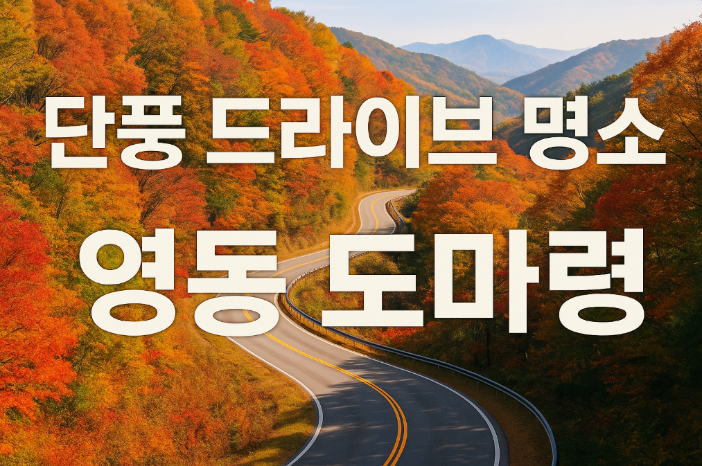가을 단풍 절정! 영동 도마령 드라이브 코스 완벽 가이드