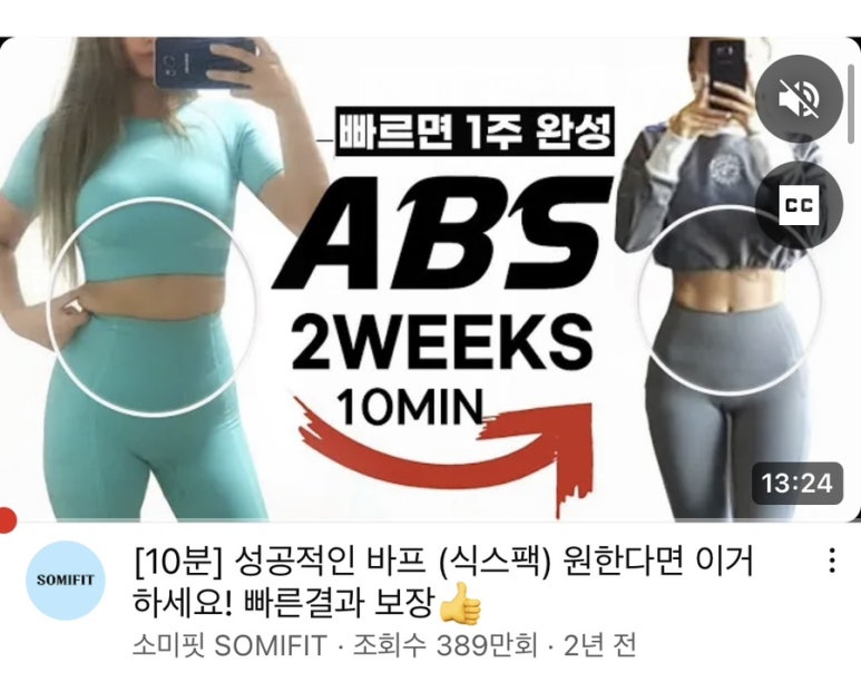 소미핏