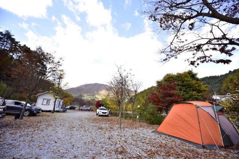 가평 '늘푸른쉼터' 캠핑장 미리보기