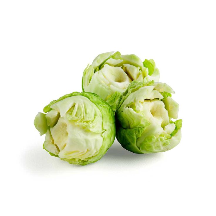 위 영양제 추천