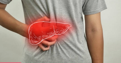 타우린 효능 총정리