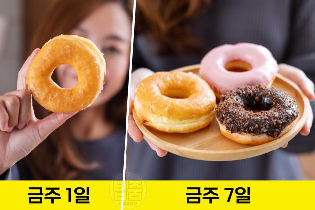 술 끊기 한달 술 끊으면 변화 식욕