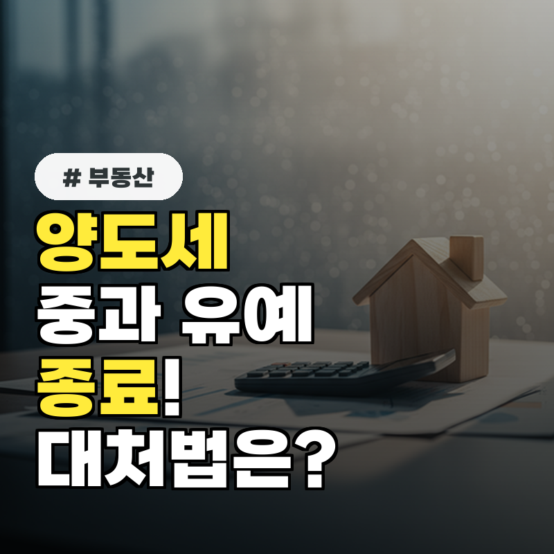 다주택자 양도세 중과 유예 종료, 이후 대처법