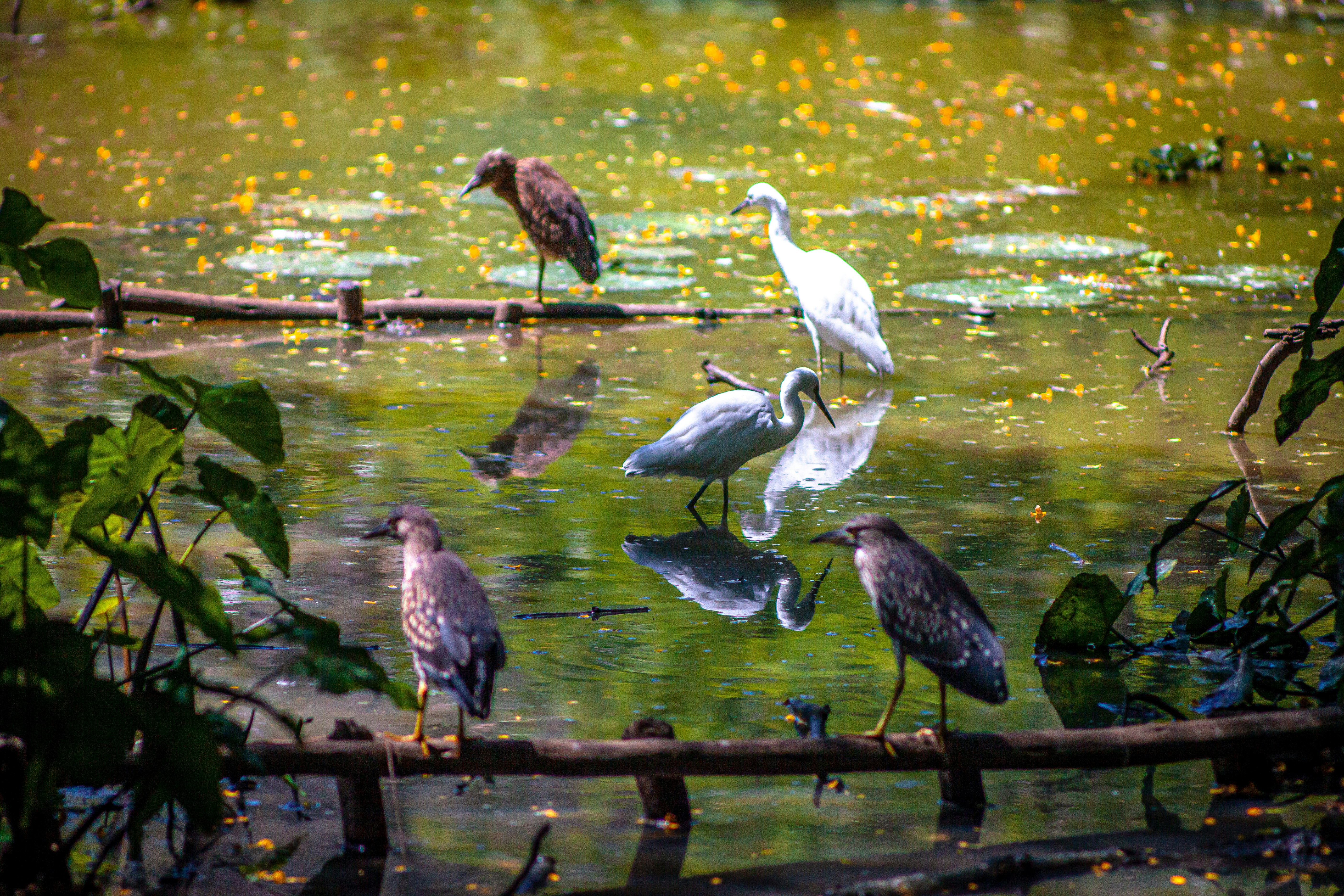 지속가능한 생태 도시