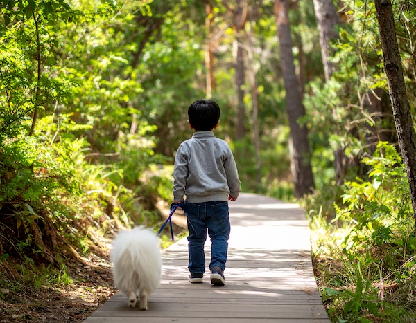 초등학생 아이가 반려견 리드줄을 잡고 걷는 모습
