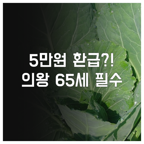 만 65세 의왕시민 2025 버스요금..