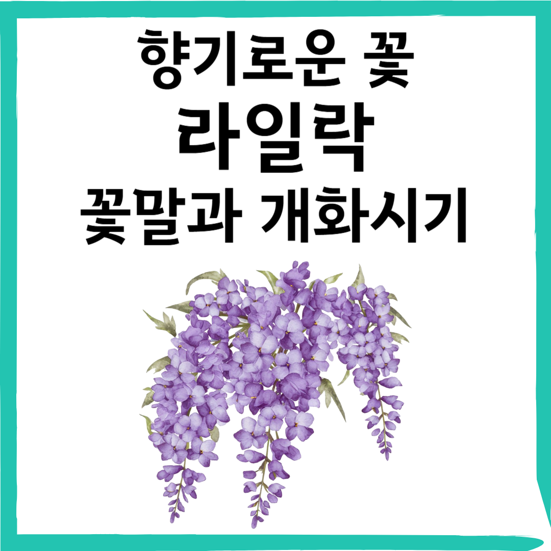 거리마다 퍼지는 라일락 향기, 라일락 꽃말과 키우는 방법까지 한눈에!