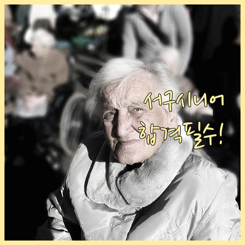 인천 서구 시니어클럽 사회복지사 채용..