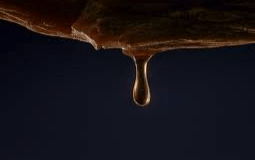 홍삼오일-전립선비대증-성기능장애-개선-효과-연구결과-정관장-홍삼오일-알엑스진클린-가격