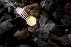 동전-줍는-꿈-동전을-포크로-찍는-사진