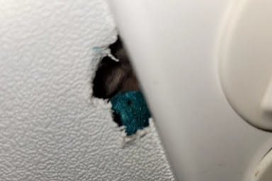 구멍안쪽으로 파랑색의 동글한 모양의 쥐약을 넣어 둔 사진