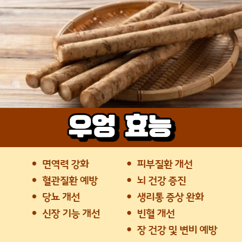 우엉 효능