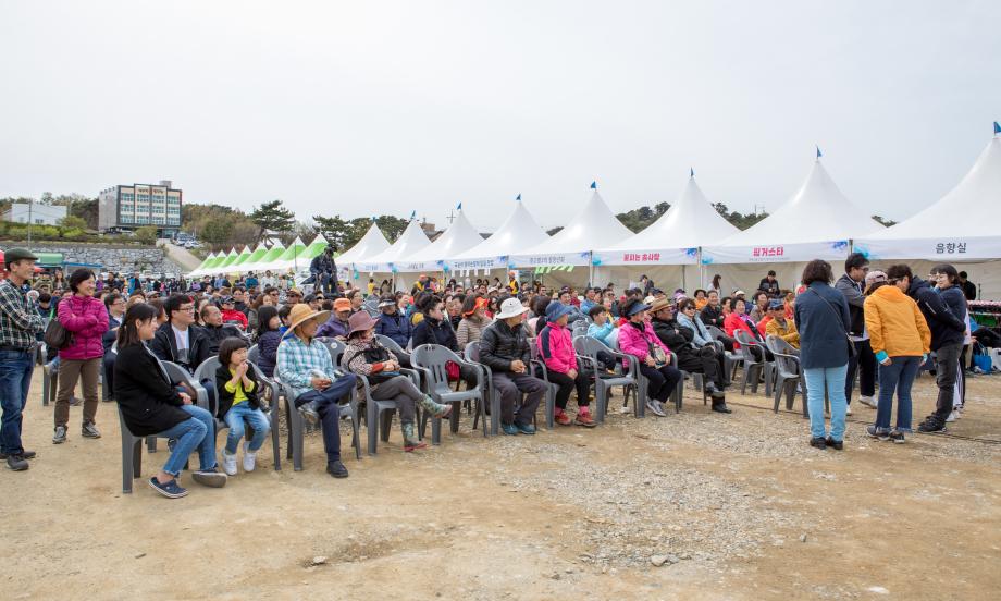 제18회 장고항 실치마을 수산물 홍보행사 기본정보와 프로그램 정리 김의영 이진관 하이런 등 출연