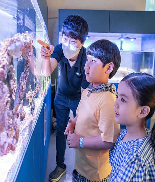 아르티스테마파크