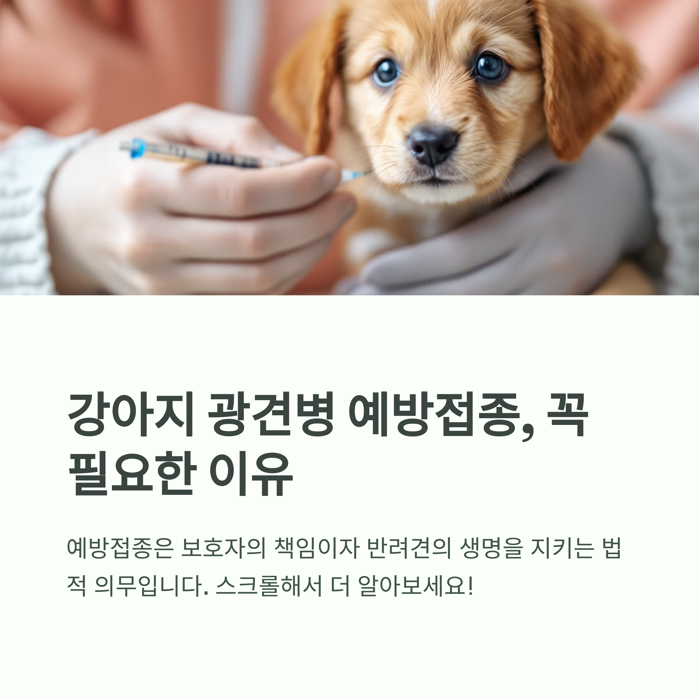 2025상반기 광견병