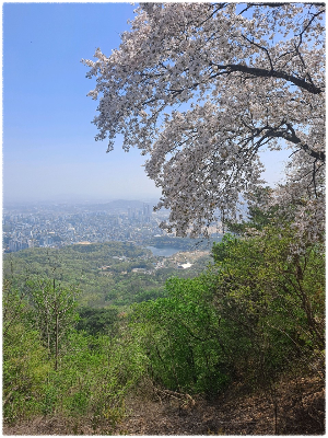 설봉산