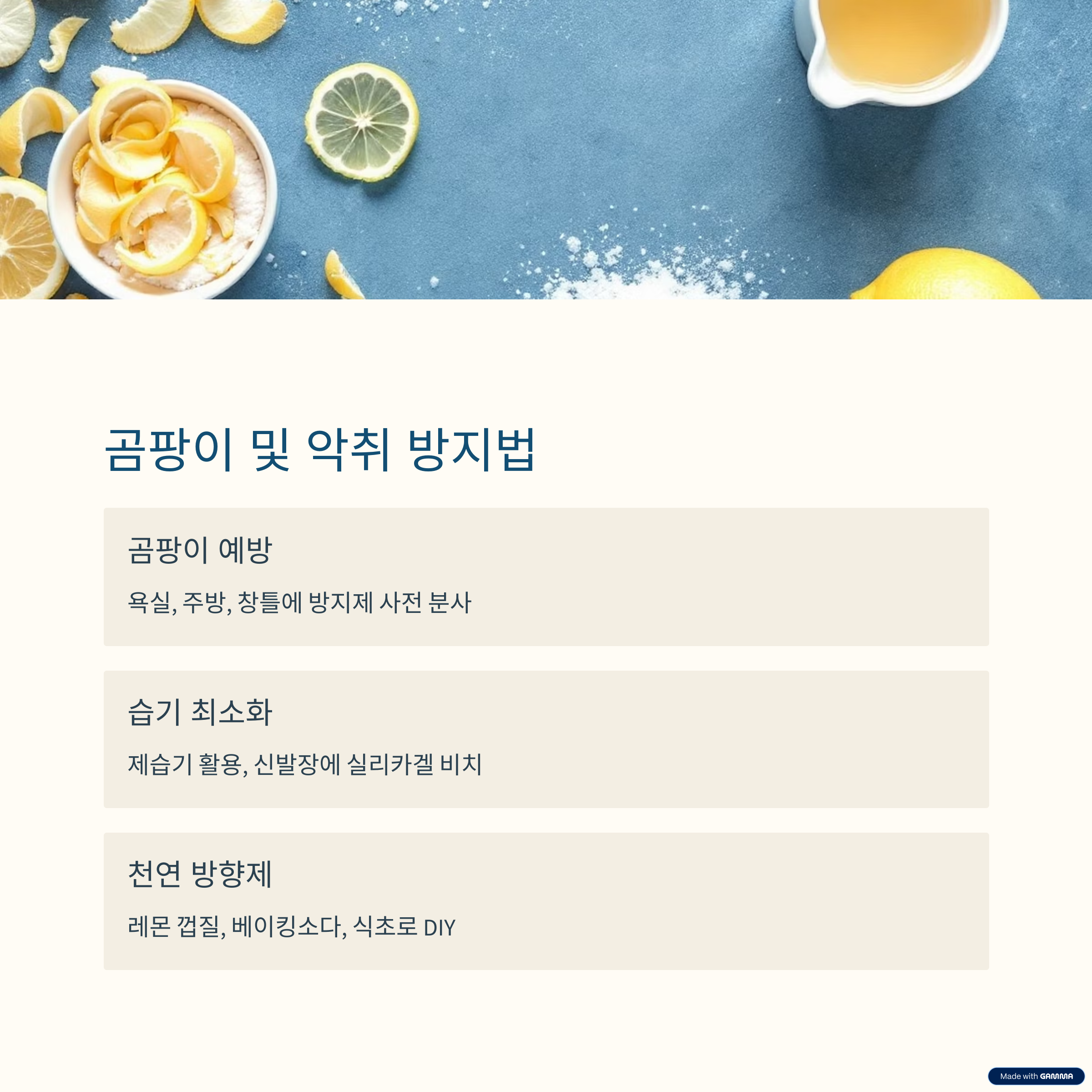 &quot;6월 장마철 대비 필수 체크리스트! 곰팡이, 누수, 건강관리까지 한 번에&quot;