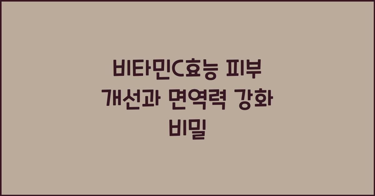 비타민C효능