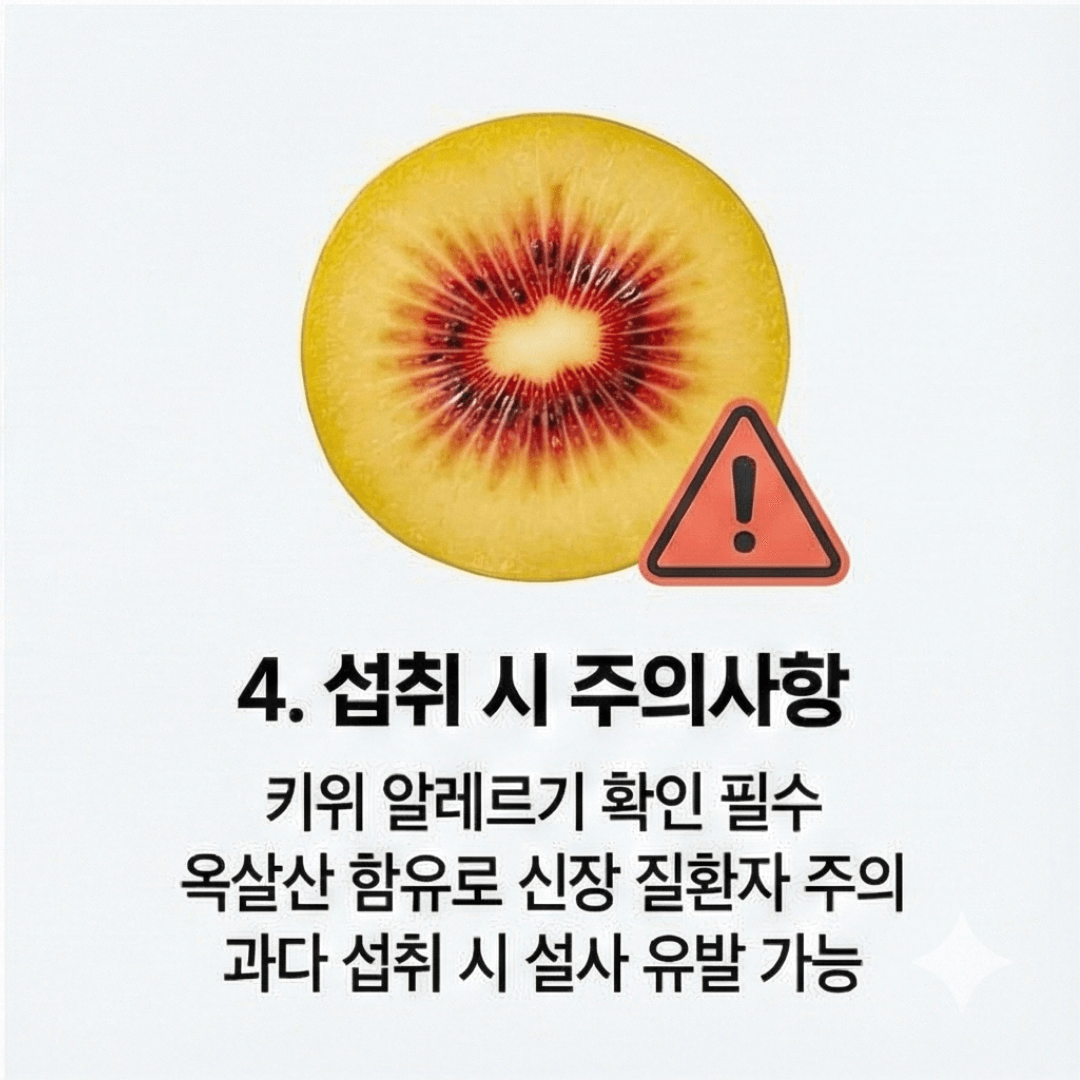 레드키위 효능과 칼로리, 후숙 방법부터 부작용까지 총정리