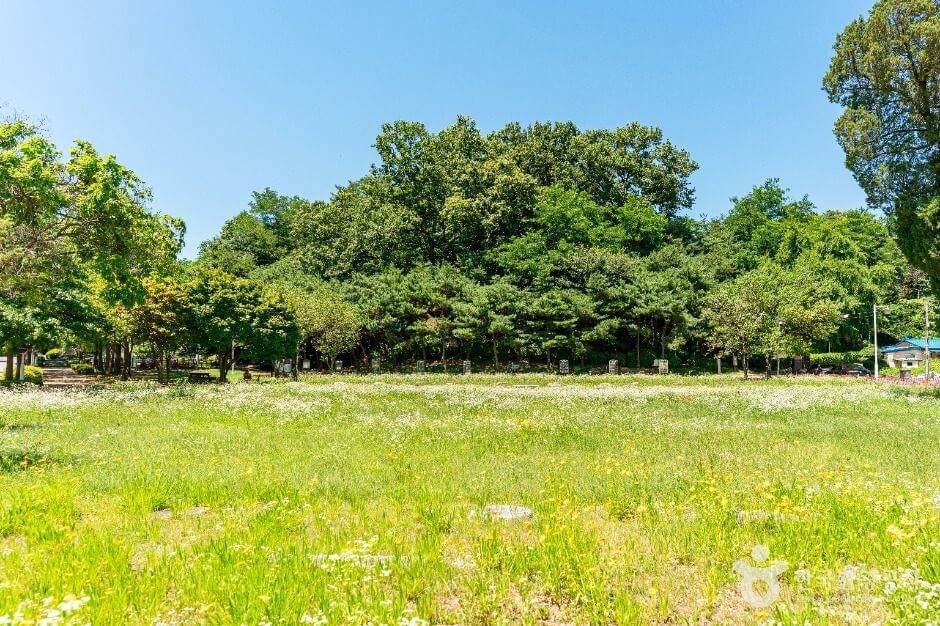 고양 가볼만한곳 베스트 10