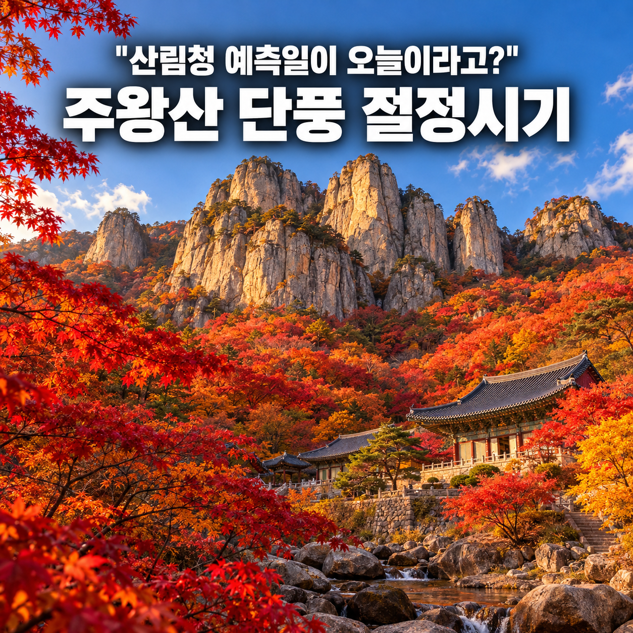 "산림청 예측일이 오늘이라고?" 주왕산 단풍 절정시기