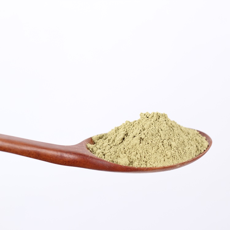 봄나물쑥전만들기발효뽕잎