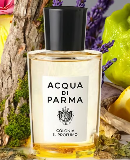 발렌타인데이 선물