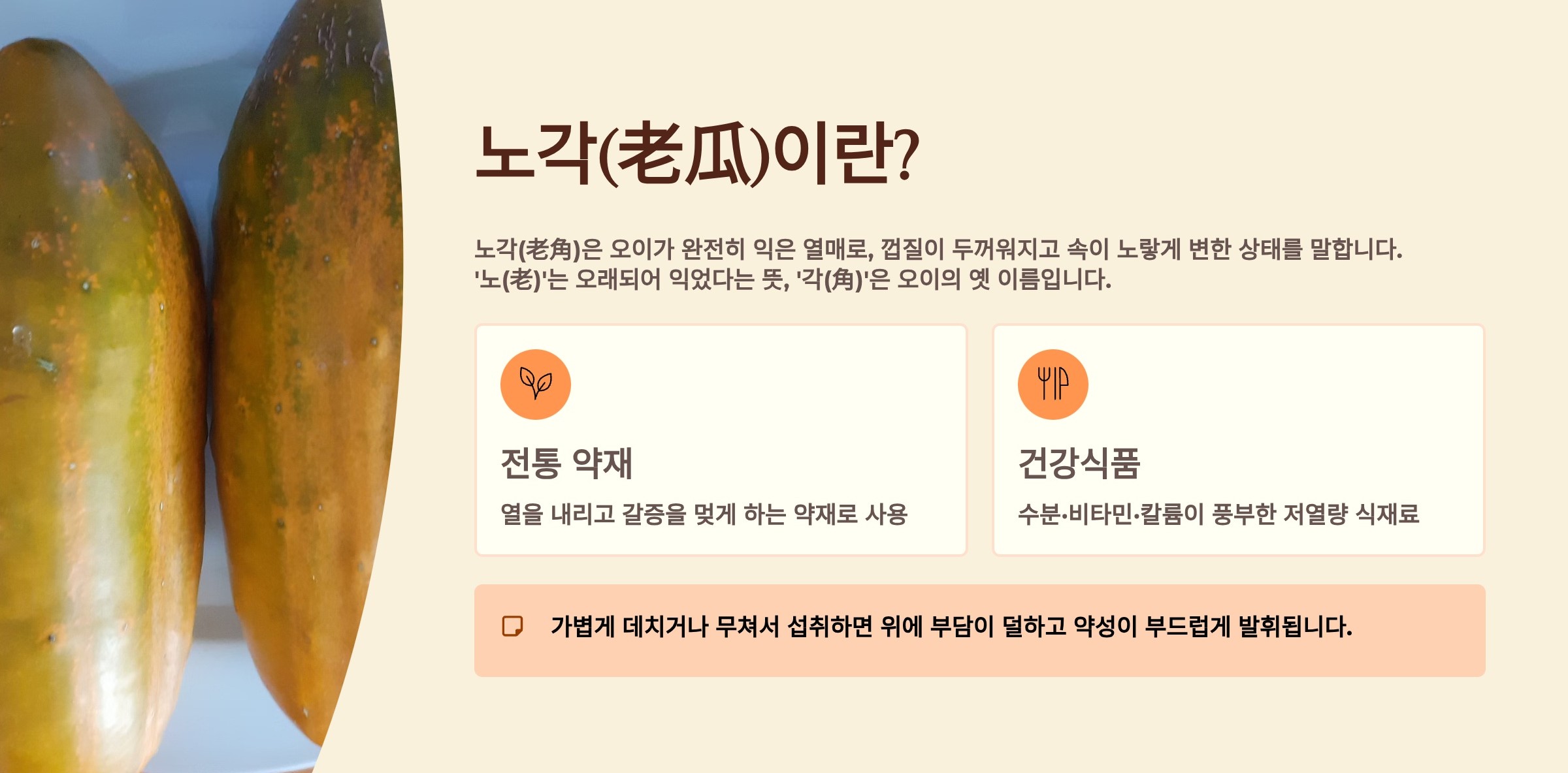 노각（늙은오이）