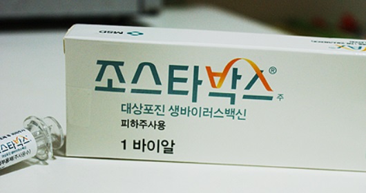 조스타박스-백신