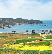 완도여객선터미널 청산도 배편 예약과 시간표 및 운임요금 및 주차요금 관련사진
