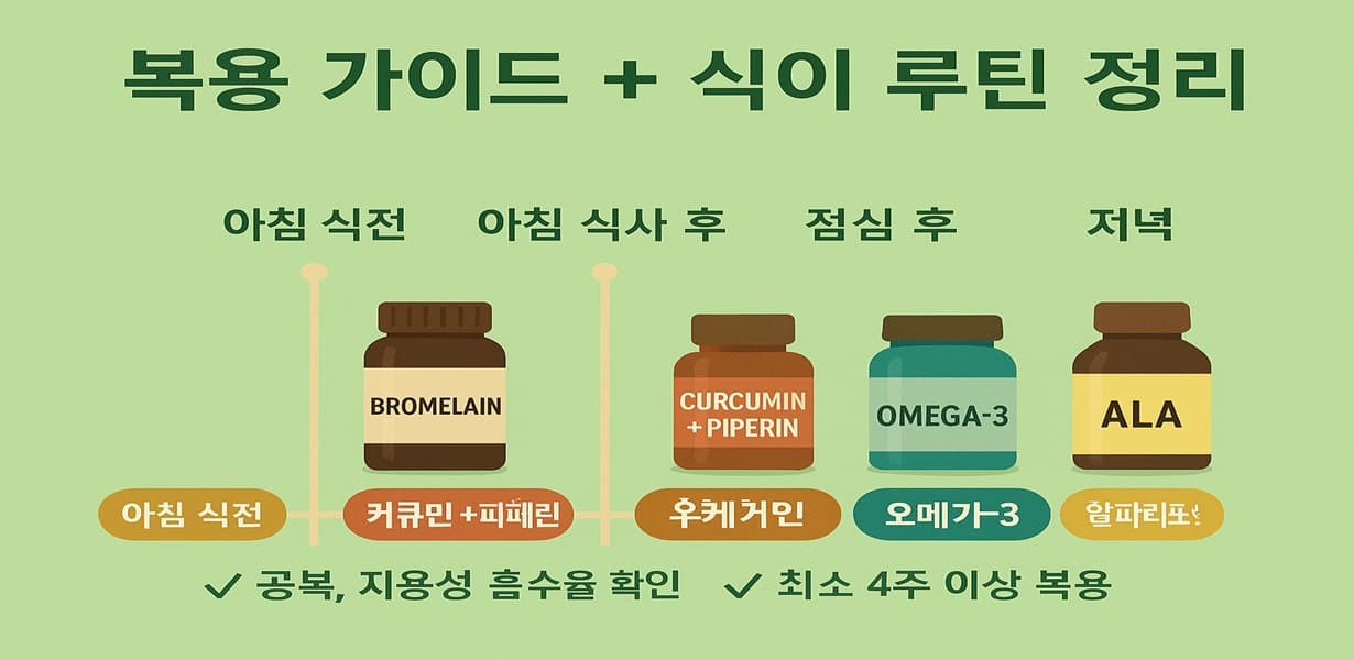 브로멜라인, 커큐민+피페린, 오메가3, 알파리포산 보충제를 시간대별 복용하는 항염 루틴 인포그래픽