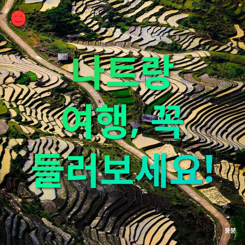 베트남 여행 패키지_3