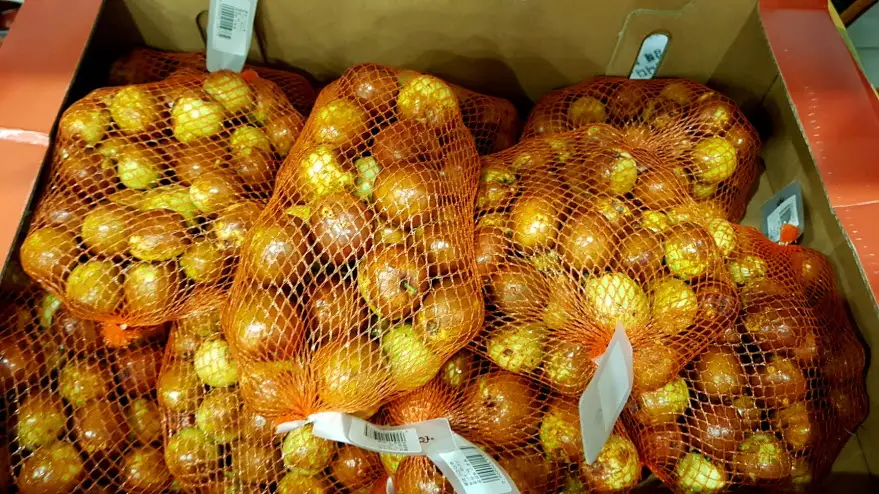 코스트코 사과대추 1kg
■단가 1,299원 / 100g
■가격 12,990원