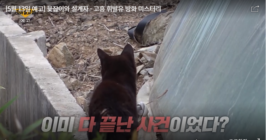 그것이 알고 싶다