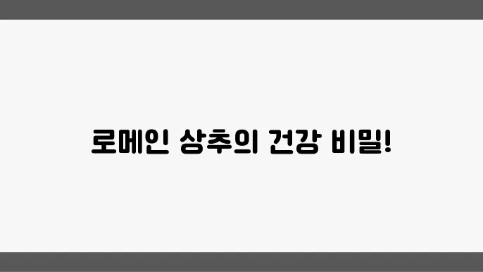 빀타민 가득! 로메인 상추로 건강을 챙기는 5가지 방법
