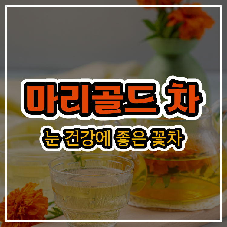 마리골드 차(메리골드, 금잔화) - 눈 건강에 좋은 꽃차