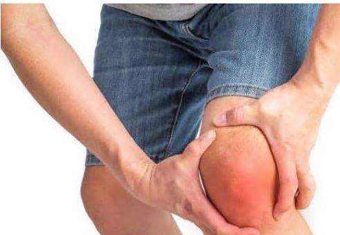 콘드로이친-가격