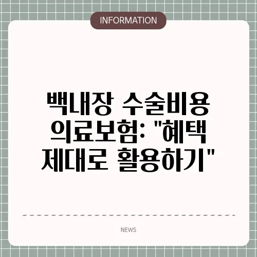 백내장 수술비용 의료보험: 