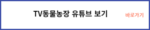 TV동물농장 유튜브