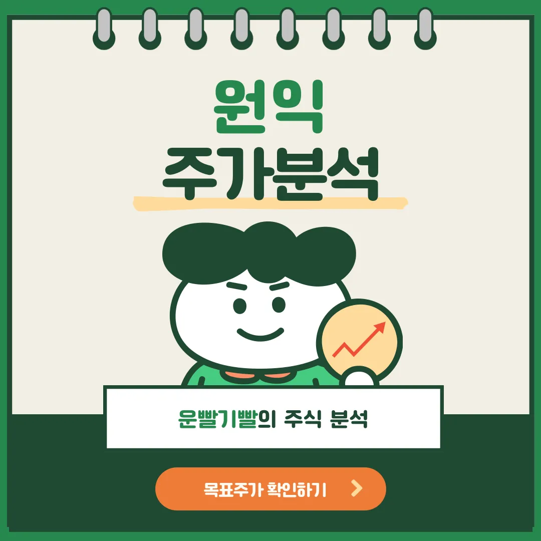 원익 주가분석
