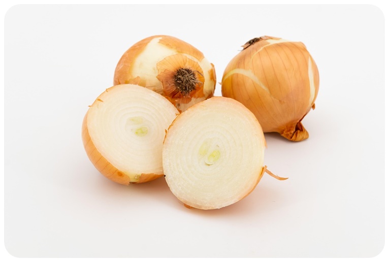 양파 효능