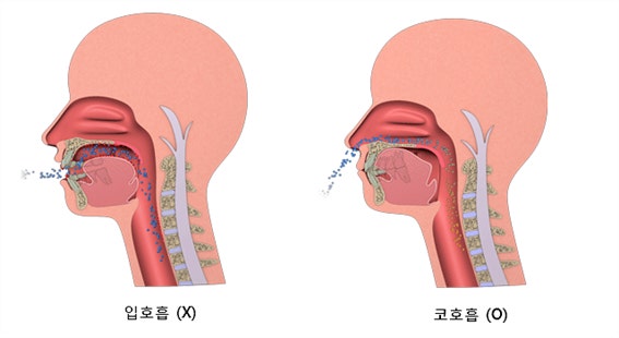 코로 호흡해야 하는 이유｜뇌세포를 살리는 가장 기본적인 호흡법 관련 사진