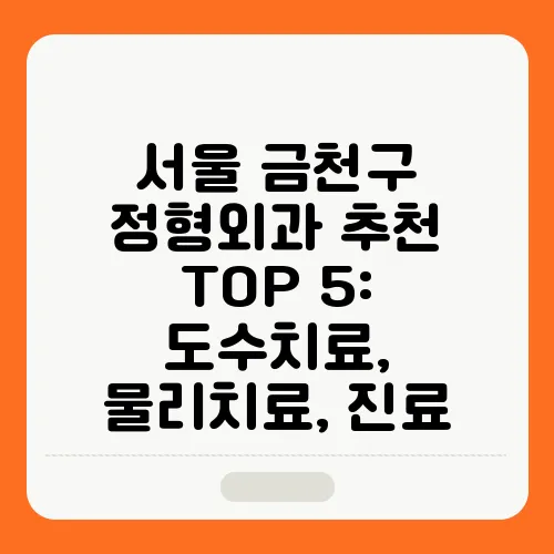서울 금천구 정형외과 추천 TOP 5: 도수치료, 물리치료, 진료
