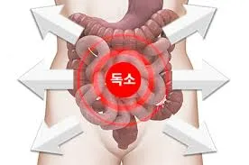 담적병 증상