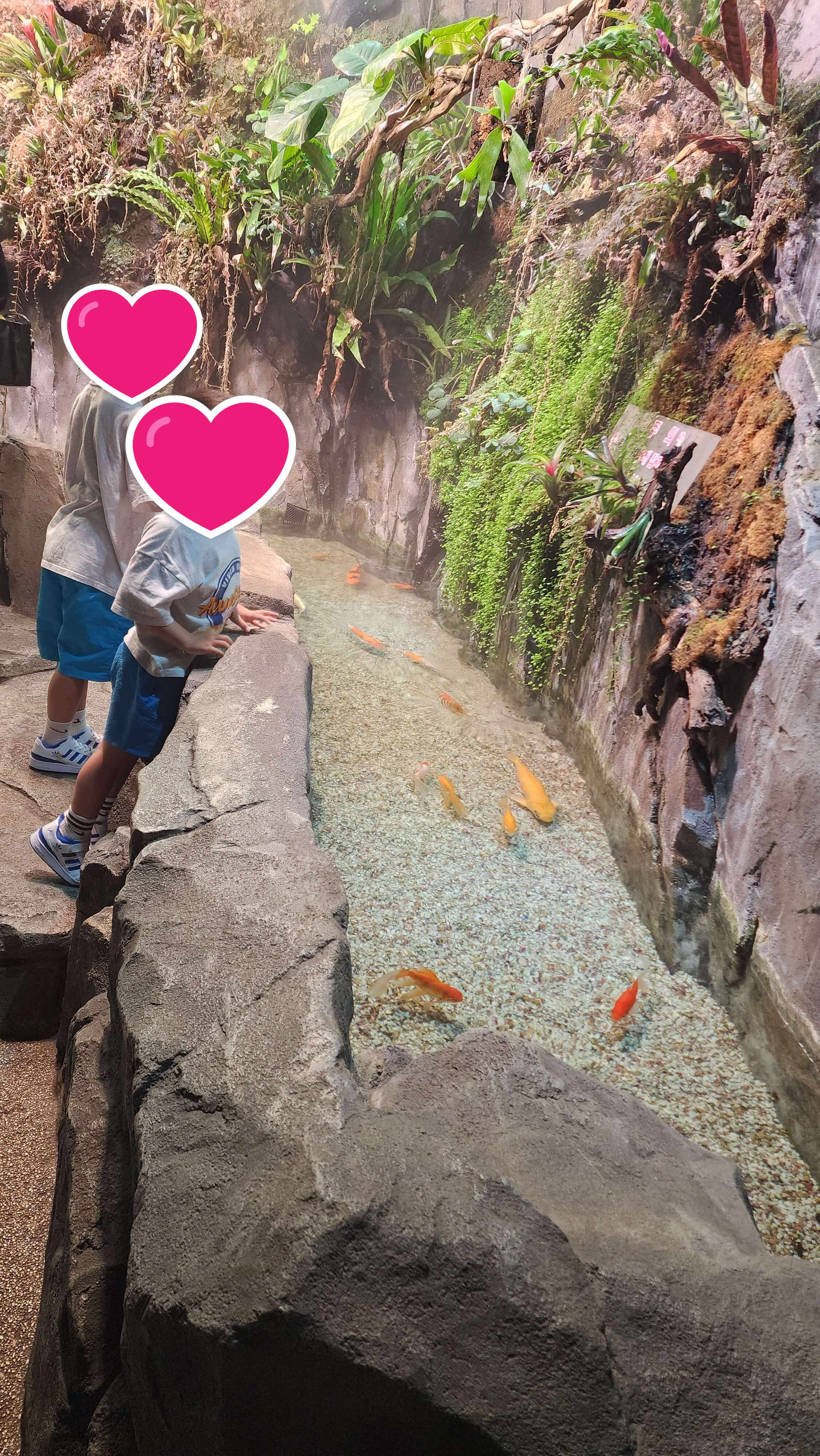 제천경찰수련원 빌라형 6인실 후기(조식 바뀐점&amp;#44; 물놀이&amp;#44; 바베큐&amp;#44; 가볼만한 곳) 