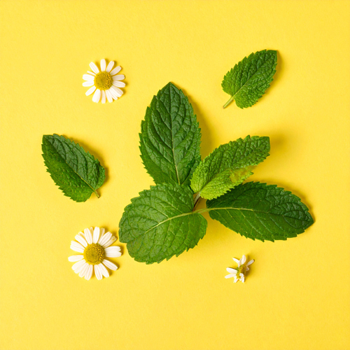 스트레스성 소화불량, 더부룩함, 위장 긴장 완화