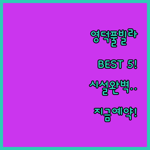 영덕 풀빌라 펜션 베스트 5 시설 특..