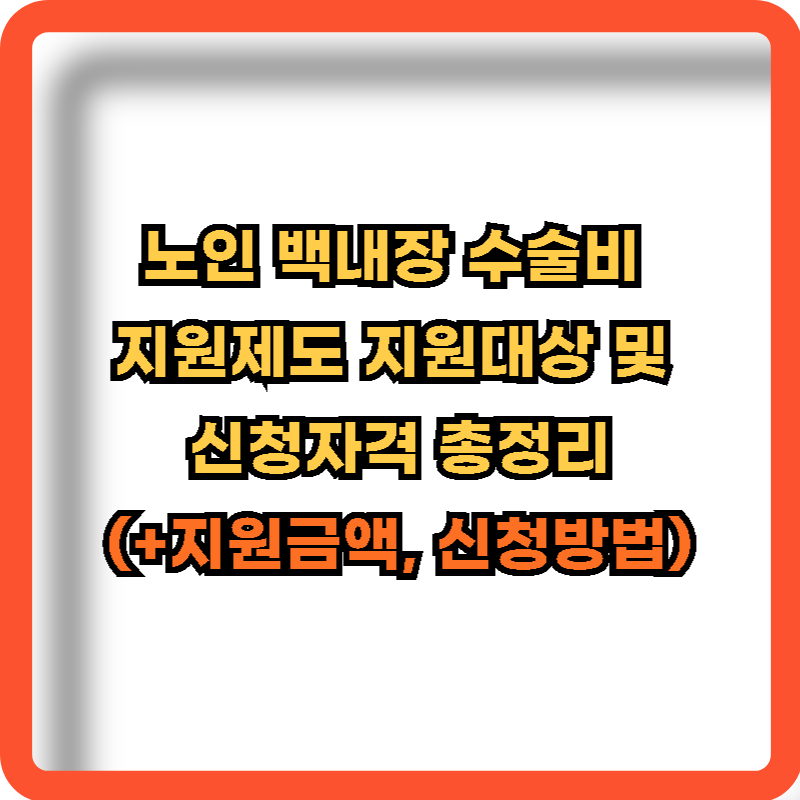 노인-백내장-수술비-지원제도-지원대상-신청자격-정보
