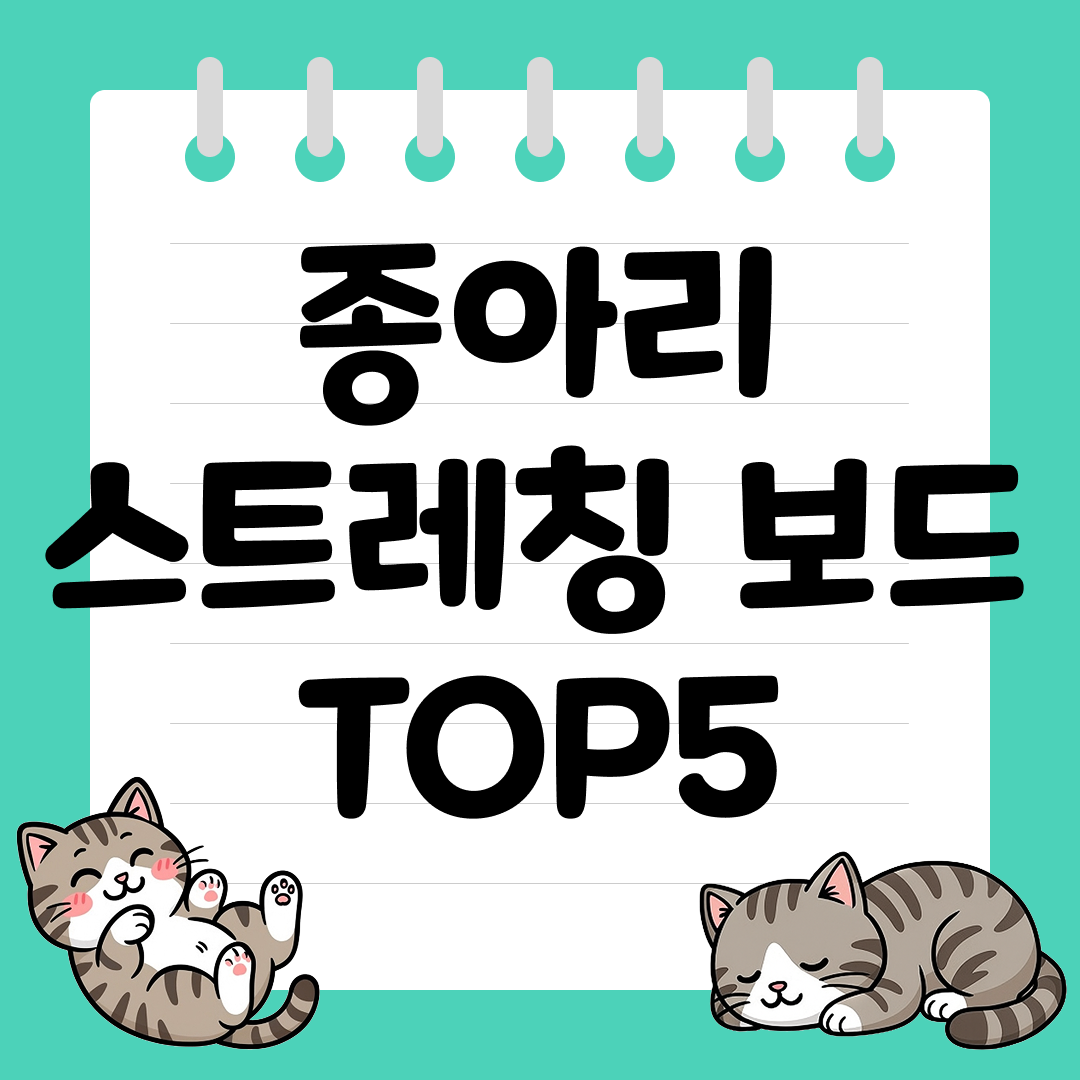 집에서도 간편하게 쓰는 종아리 스트레칭 보드 추천 순위 TOP5